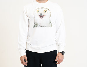 Audacity Owl Crewneck Sweatshirt